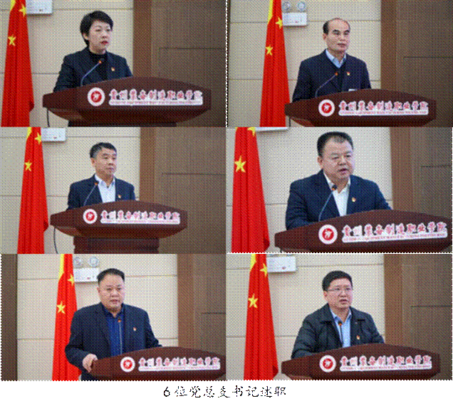 6位党总支书记述职